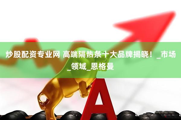 炒股配资专业网 高端隔热条十大品牌揭晓！_市场_领域_恩格曼