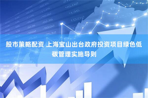 股市策略配资 上海宝山出台政府投资项目绿色低碳管理实施导则