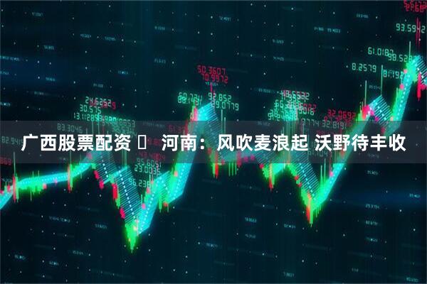 广西股票配资 ​ 河南：风吹麦浪起 沃野待丰收